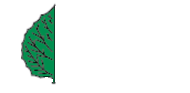 Aspen Hardwood Floors | West Chester, Pennsylvania
